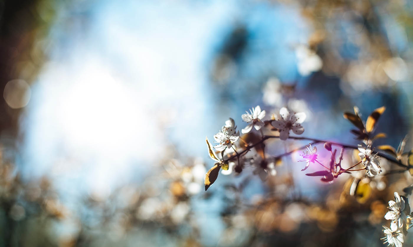 He Restores from Calamity